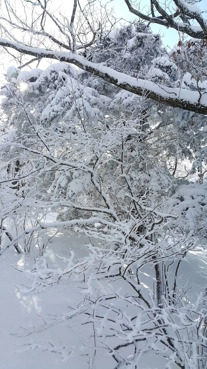 소백산(2017년 01월 22일)