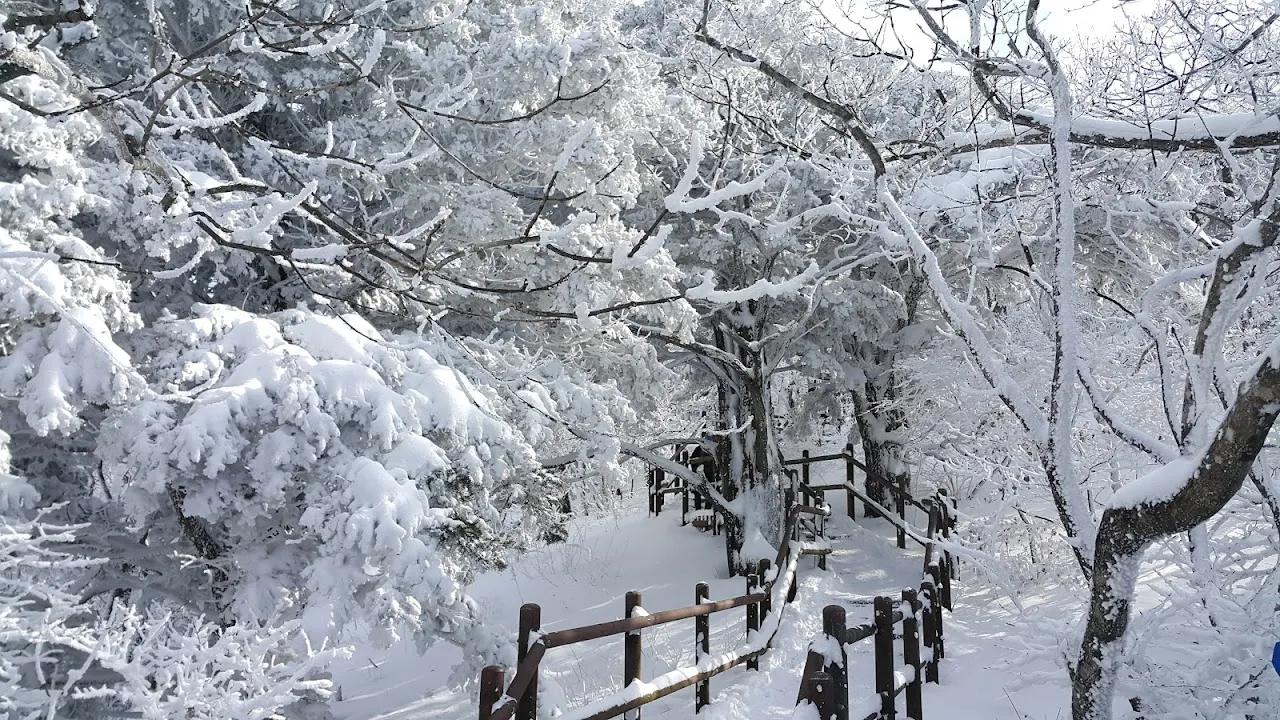 소백산(2017년 01월 22일)