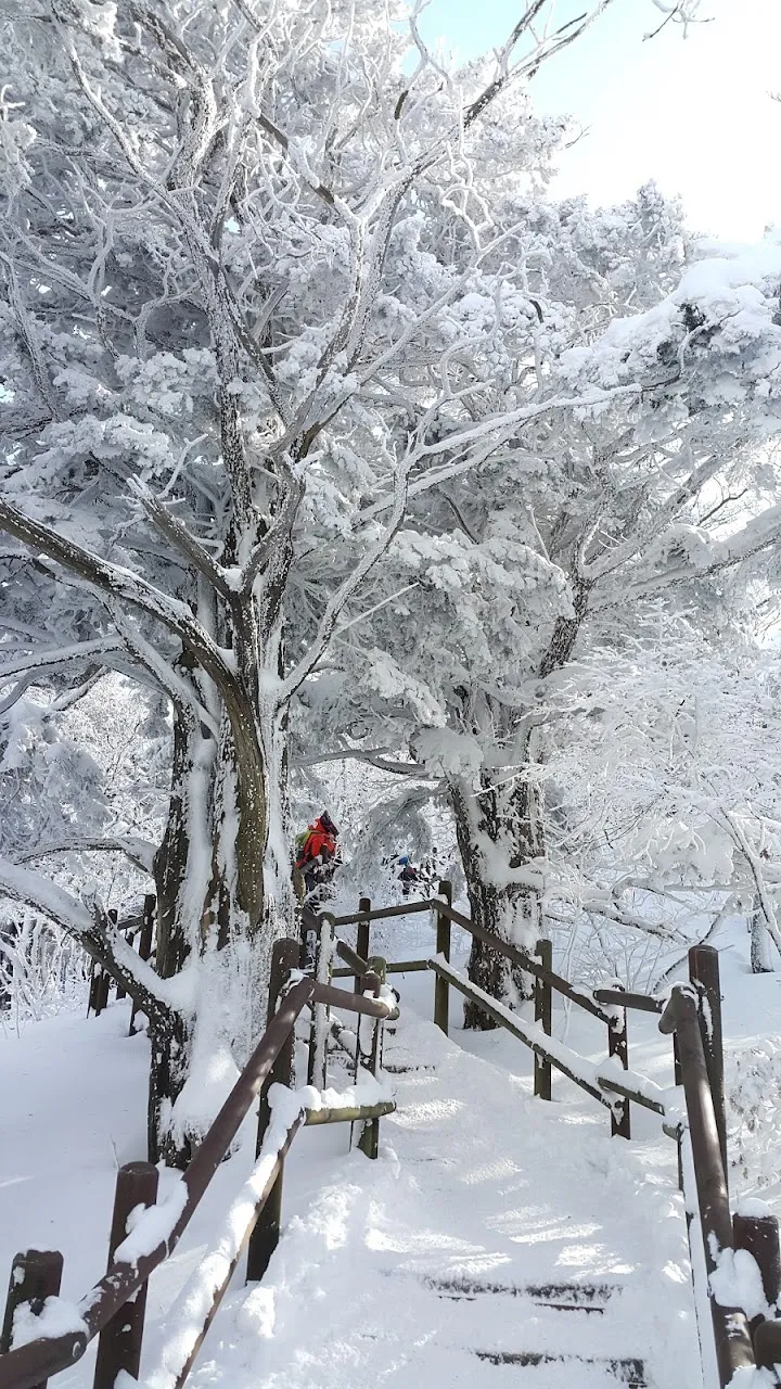 소백산(2017년 01월 22일)