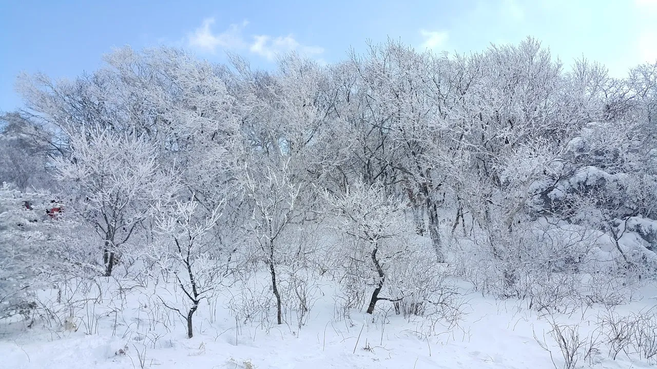소백산(2017년 01월 22일)