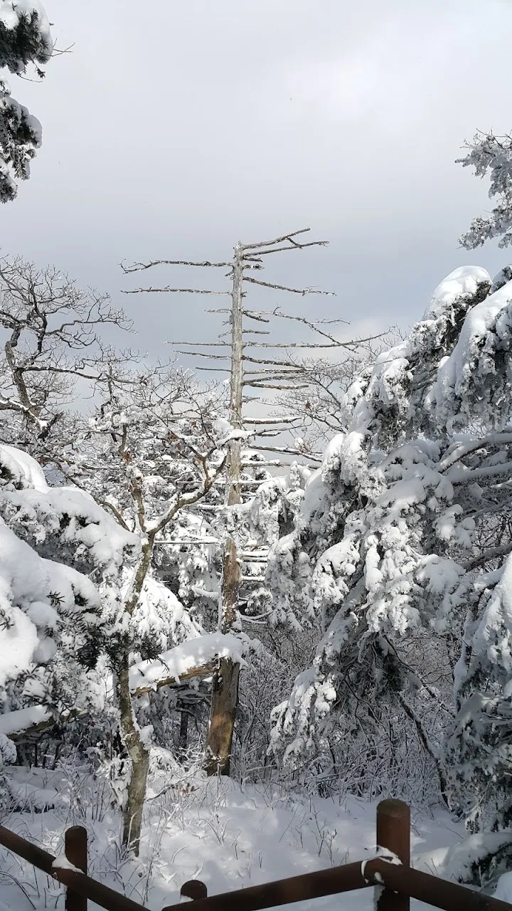 소백산(2017년 01월 22일)