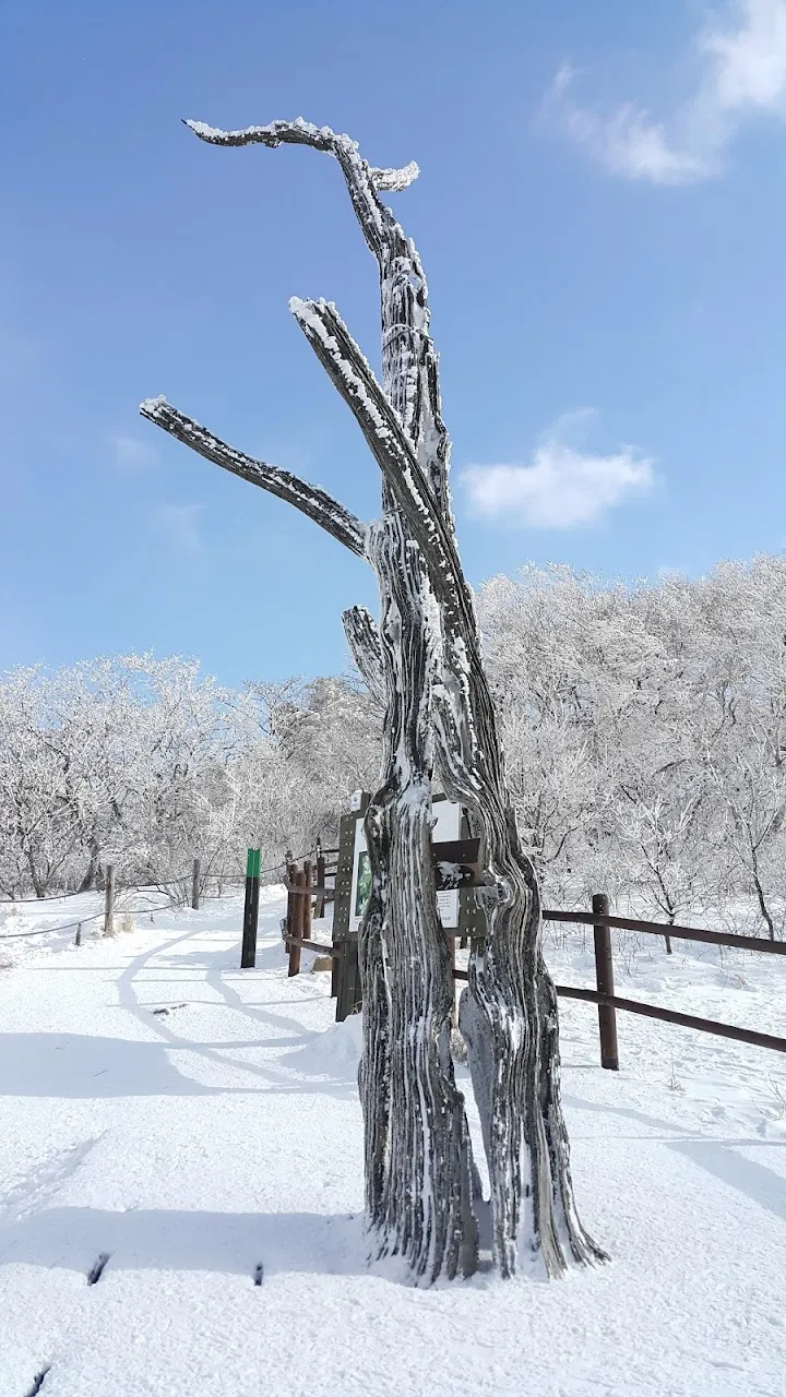 소백산(2017년 01월 22일)