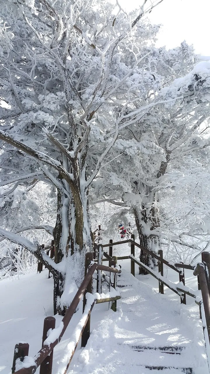 소백산(2017년 01월 22일)