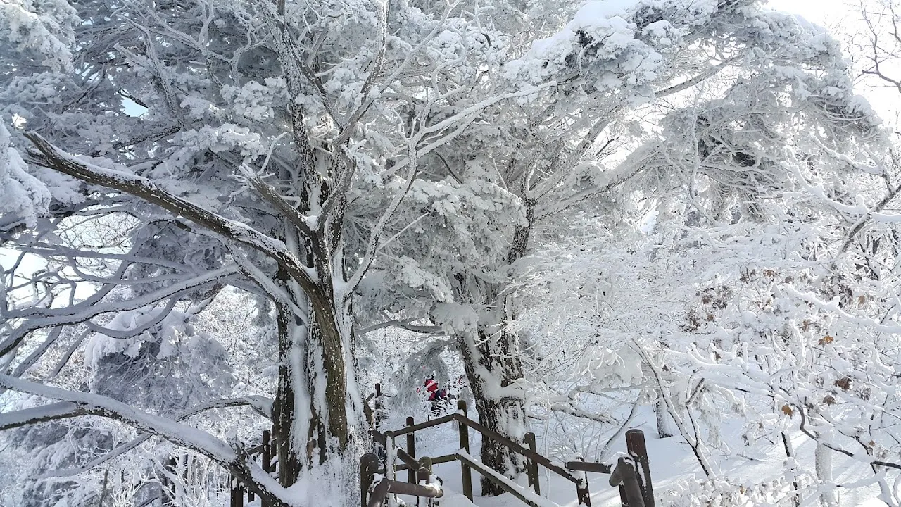 소백산(2017년 01월 22일)