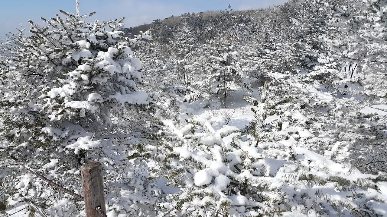 소백산(2017년 01월 22일)