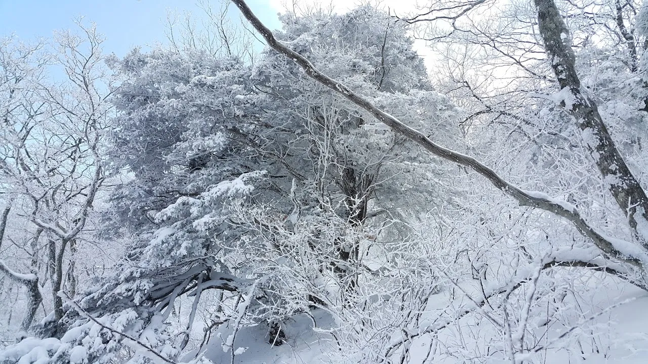 소백산(2017년 01월 22일)