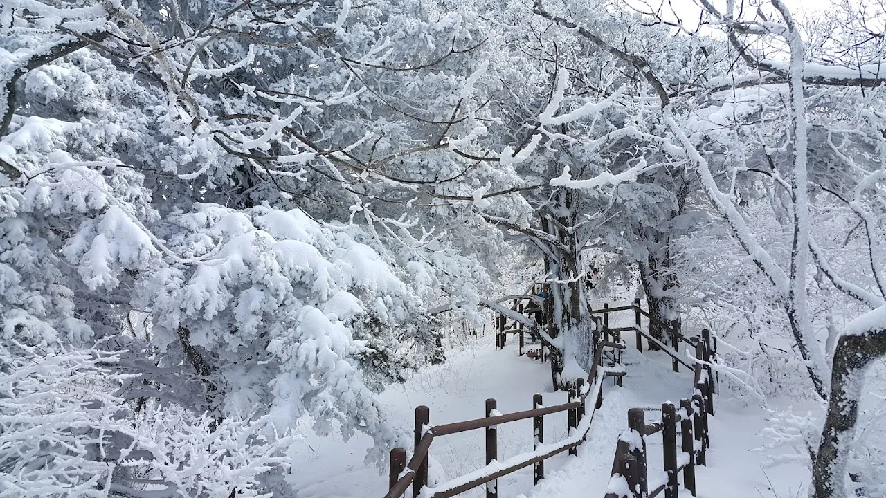 소백산(2017년 01월 22일)