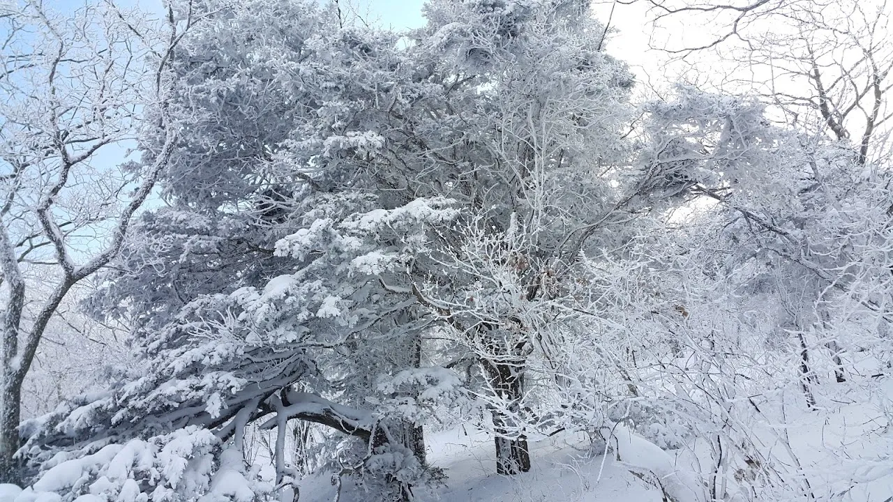 소백산(2017년 01월 22일)