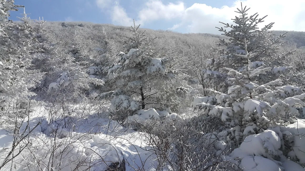 소백산(2017년 01월 22일)