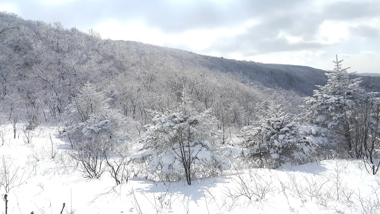 소백산(2017년 01월 22일)