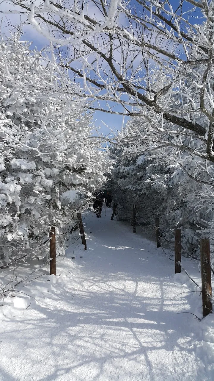 소백산(2017년 01월 22일)