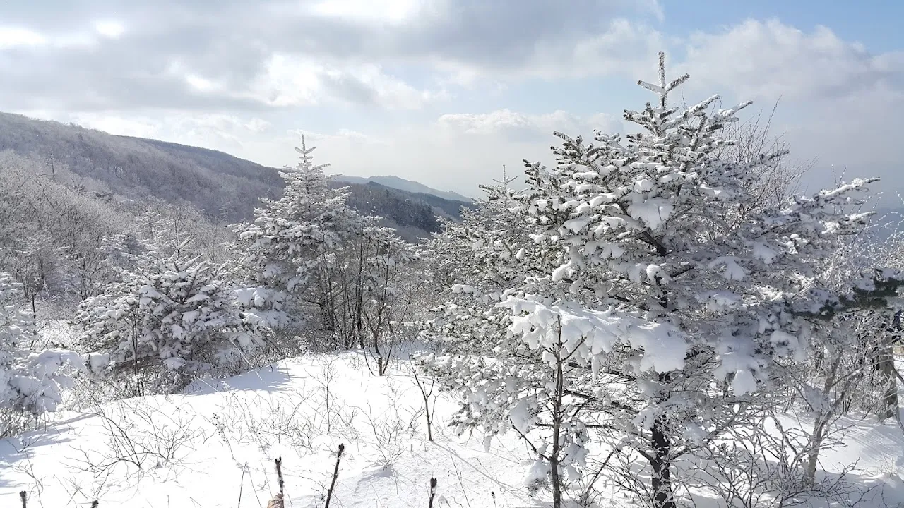 소백산(2017년 01월 22일)