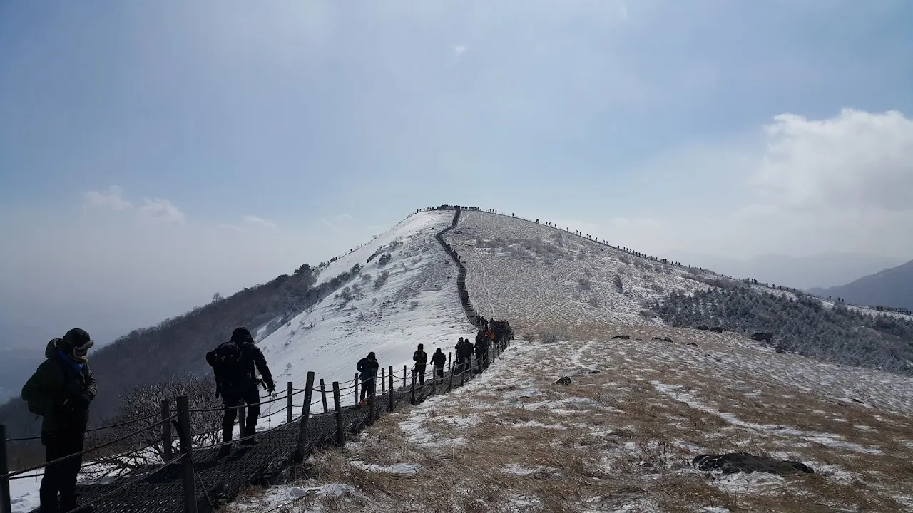 소백산(2017년 01월 22일)