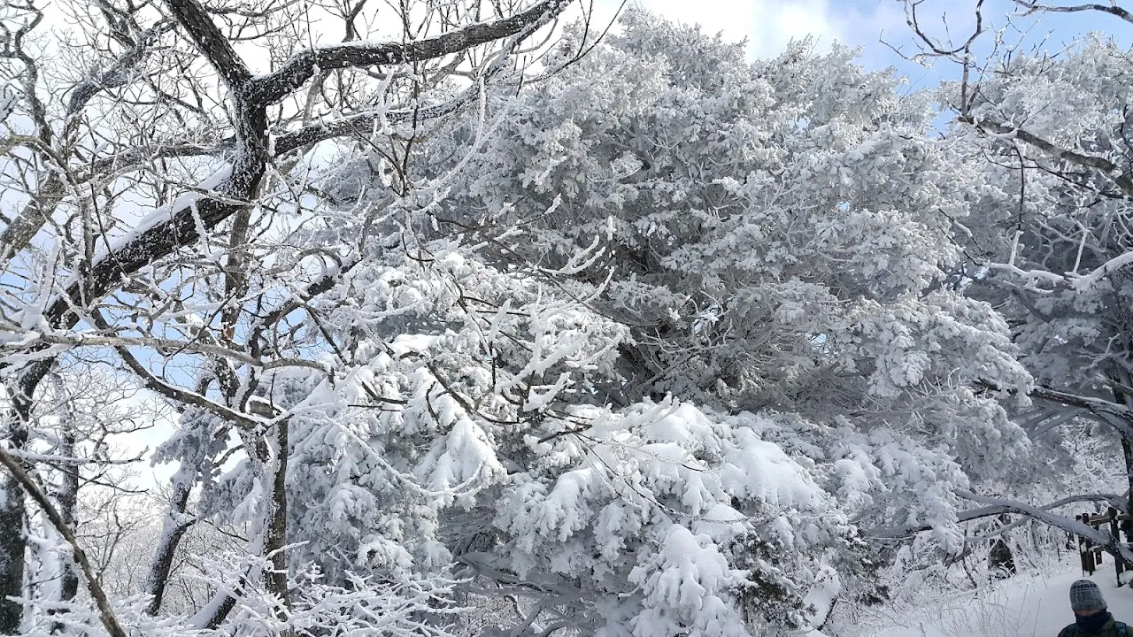 소백산(2017년 01월 22일)
