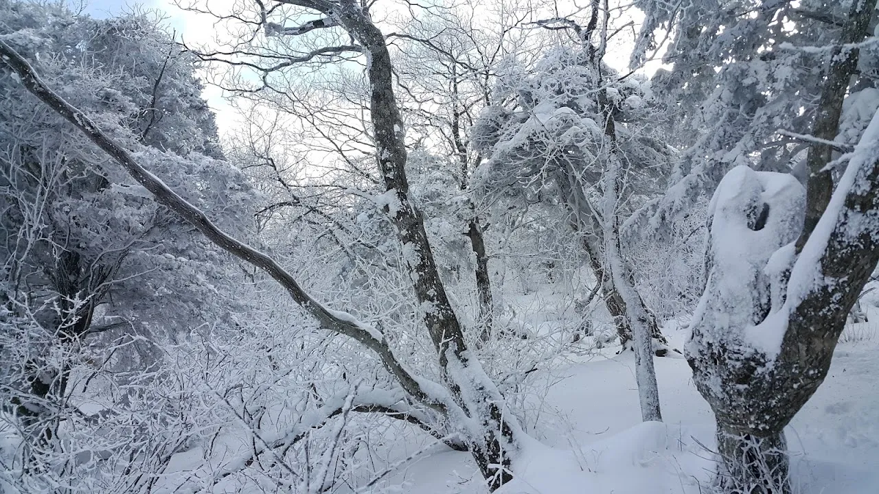소백산(2017년 01월 22일)