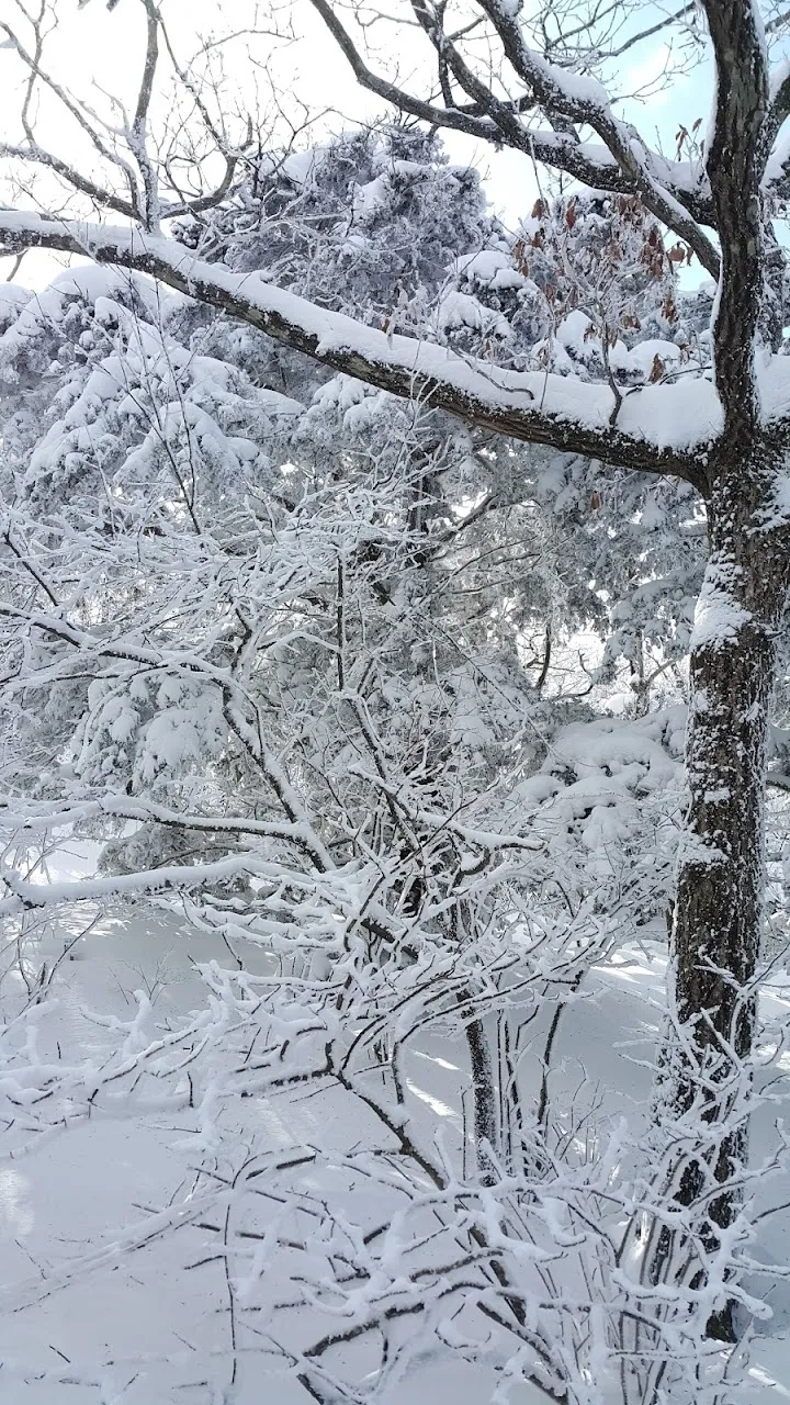 소백산(2017년 01월 22일)