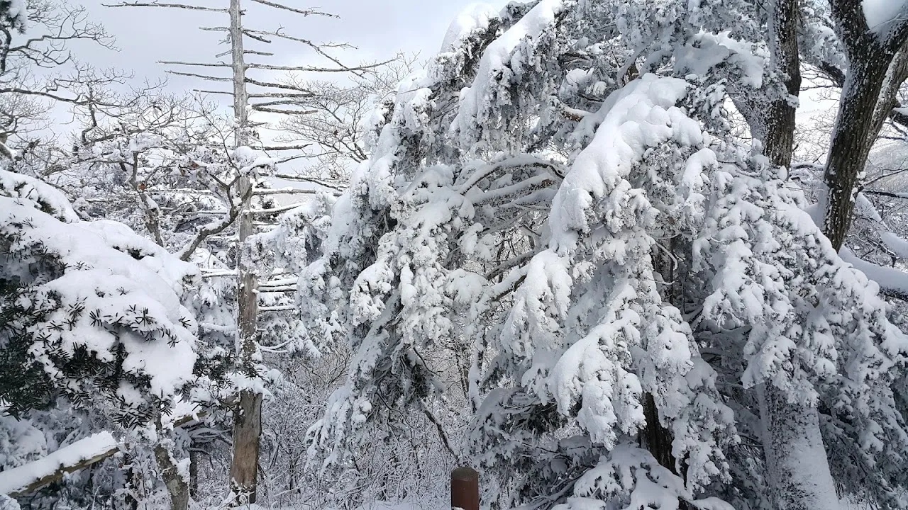 소백산(2017년 01월 22일)