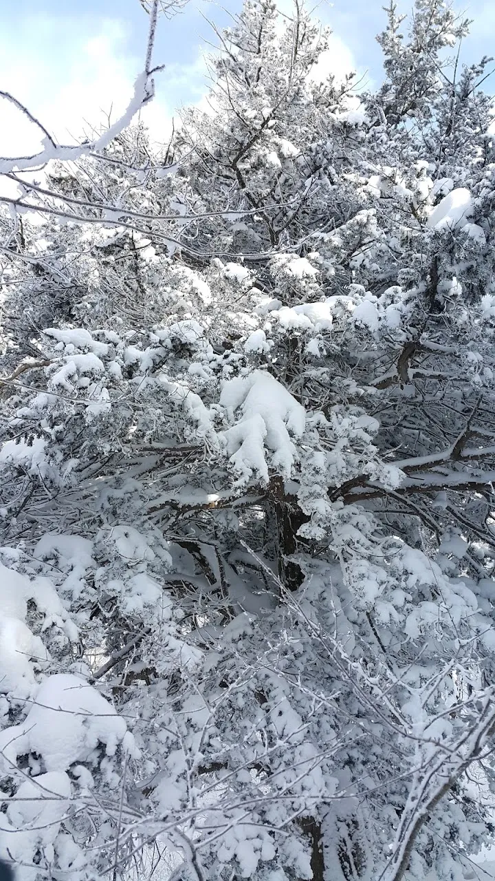 소백산(2017년 01월 22일)