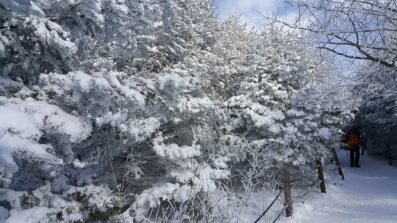 소백산(2017년 01월 22일)