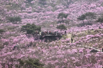 비슬산 유가사코스 사용자 사진 6