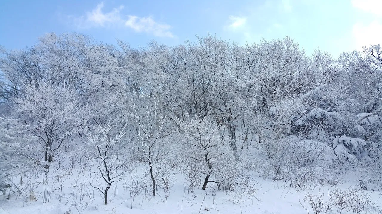 소백산(2017년 01월 22일)