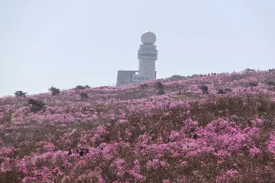 비슬산 유가사코스 사용자 사진 4