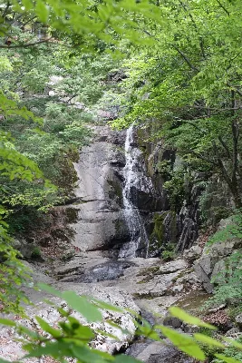 재약산 표충사코스 사용자 사진 2