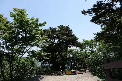 태백산 유일사코스 사용자 사진 2