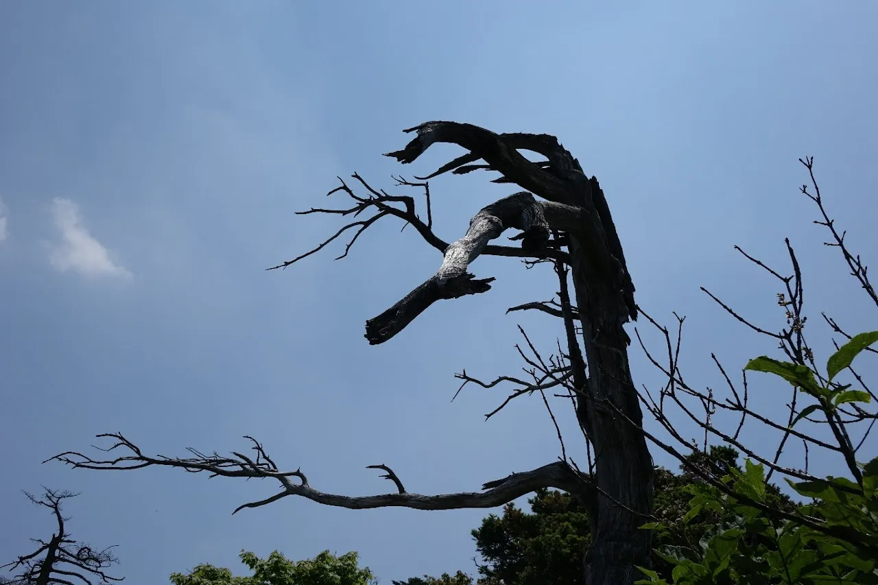 태백산