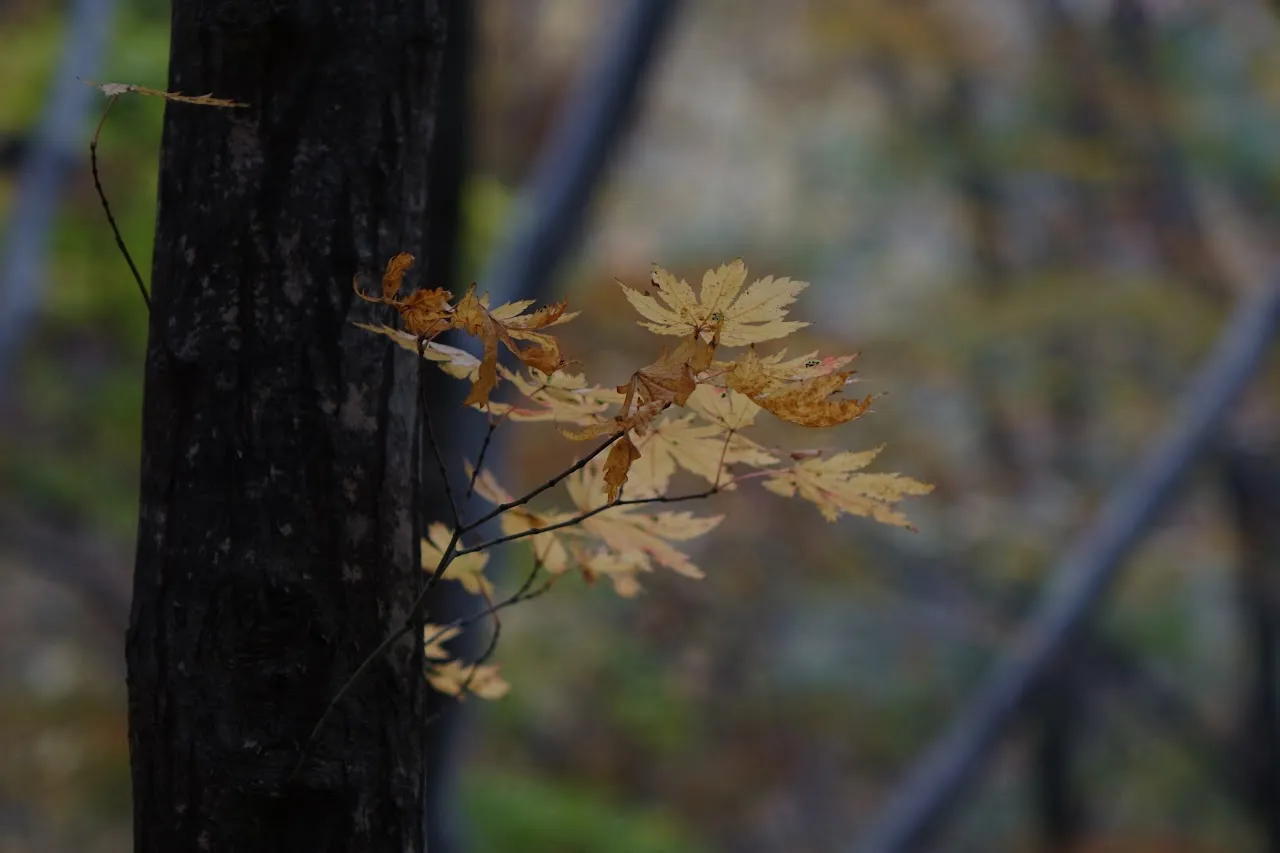 주왕산