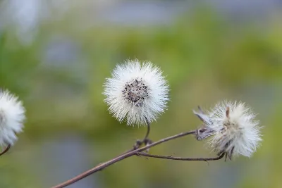 가야산 만물상코스 사용자 사진 1