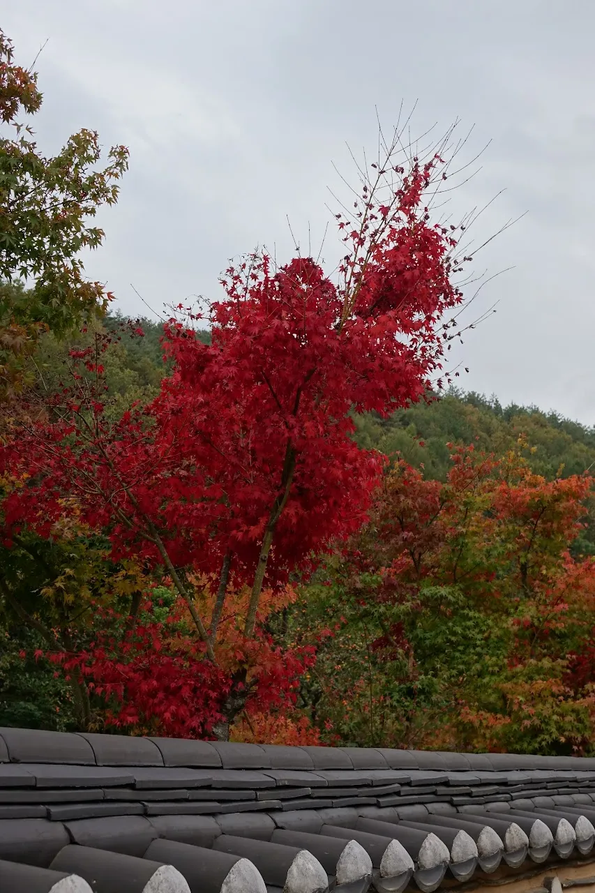 주왕산