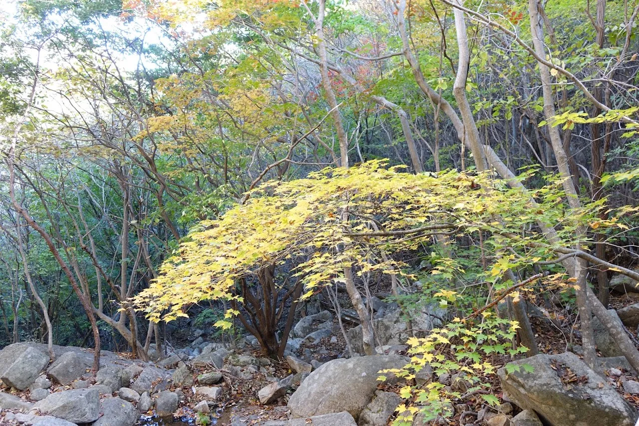 가야산