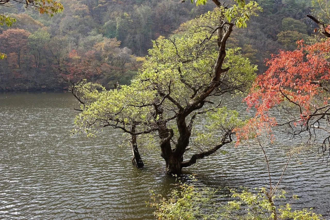 주왕산