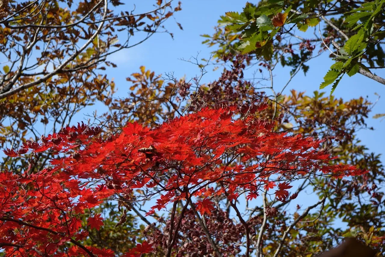 가야산