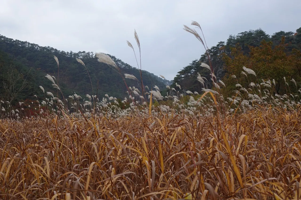 주왕산