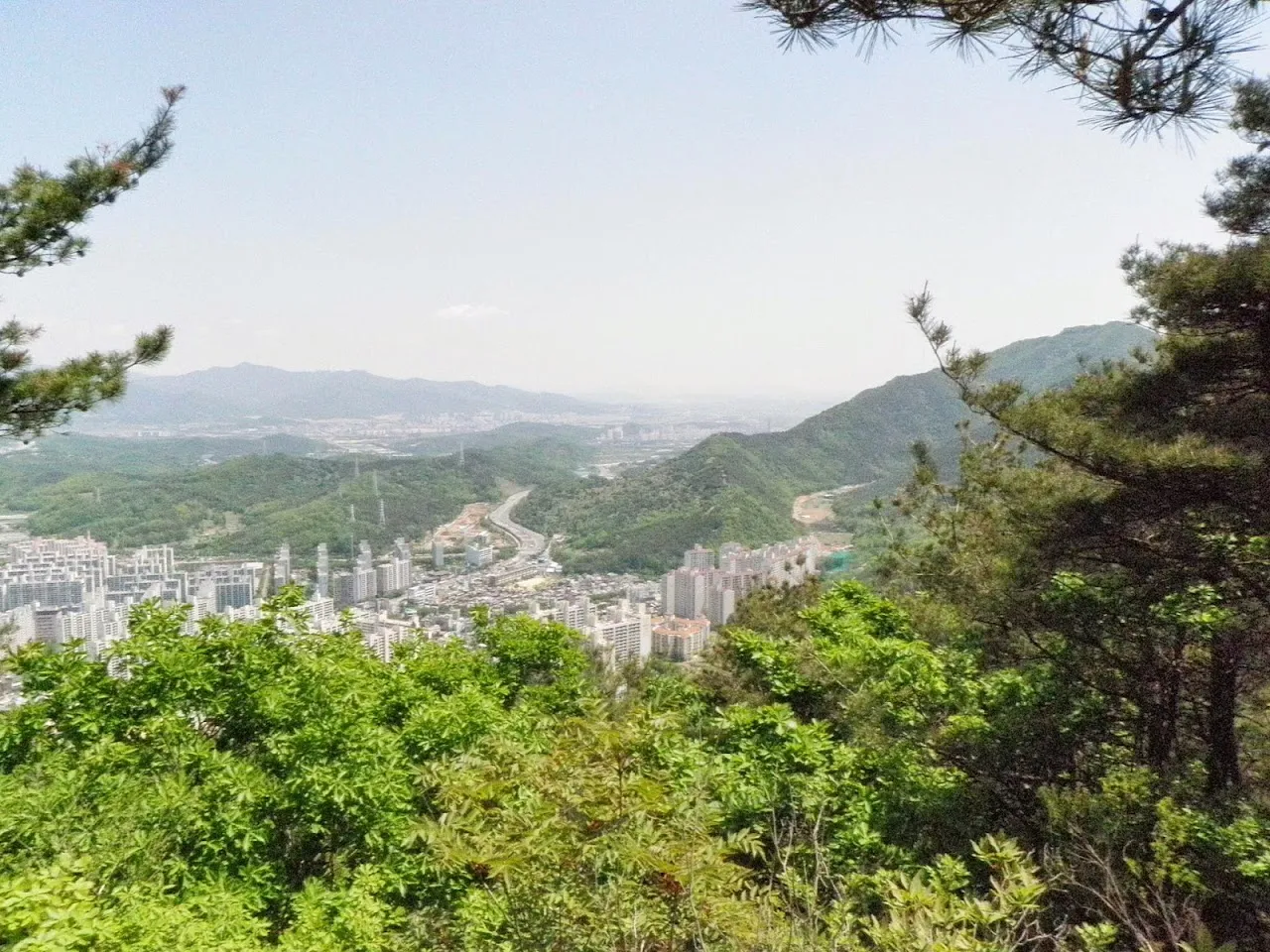 수