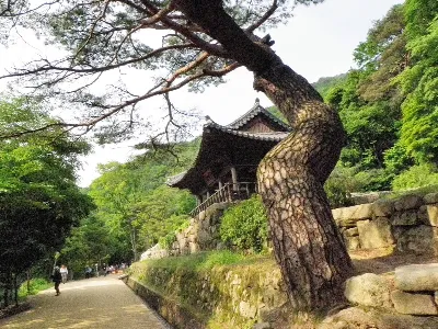 조령산 3관문 종주코스 사용자 사진 1