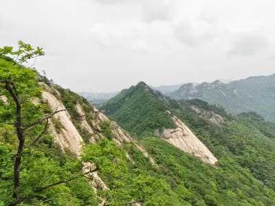 조령산 신선암봉 정상 사진 사용자 사진 5