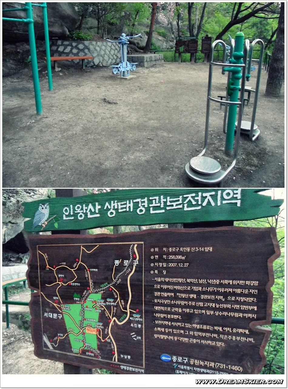 인