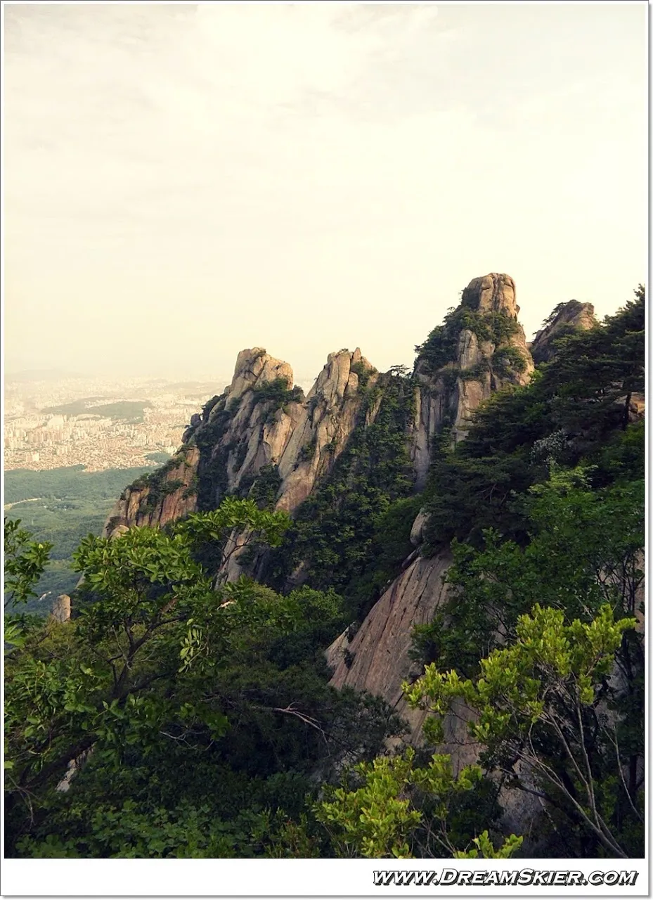 도