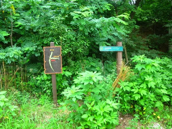 우면산-관악산-삼성산종주