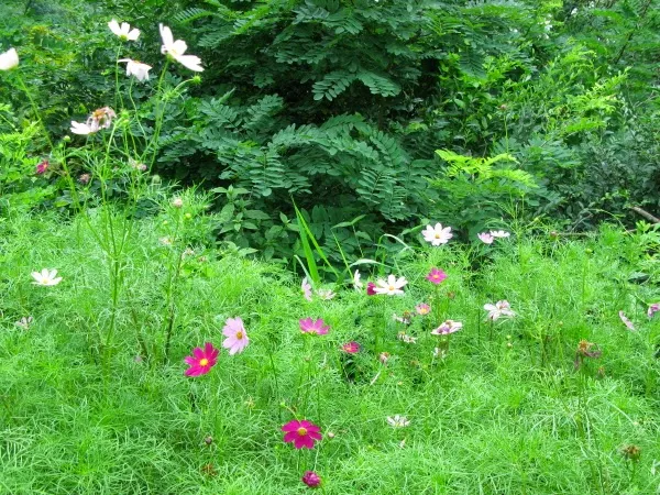 우면산-관악산-삼성산종주