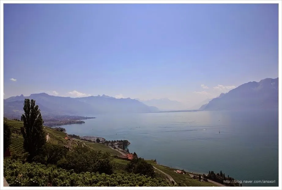 스위스 Terrasses de Lavaux trekking, 세상에서 제일 아름다운 포도밭