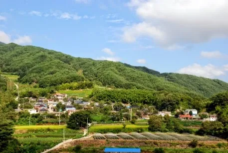 장항마을