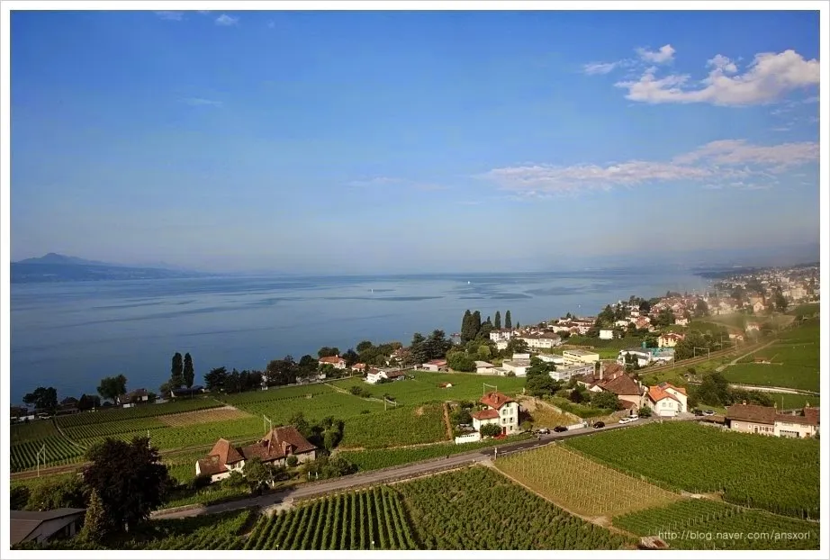스위스 Terrasses de Lavaux trekking, 세상에서 제일 아름다운 포도밭