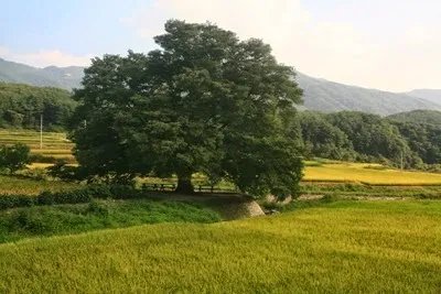 회덕쉼터