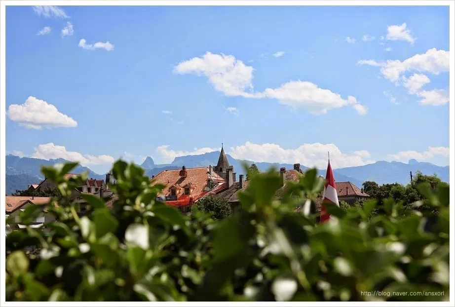 스위스 Terrasses de Lavaux trekking, 세상에서 제일 아름다운 포도밭