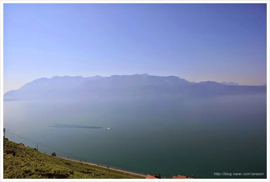 스위스 Terrasses de Lavaux trekking, 세상에서 제일 아름다운 포도밭