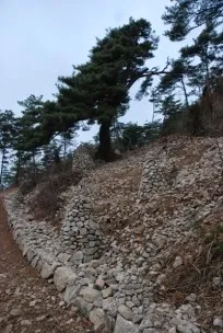 사무락다무락
